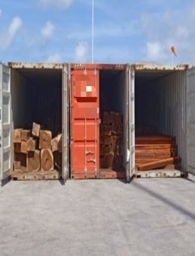 Corrupción en Conafor y Profepa permitirá liberar cargamentos de maderas finas