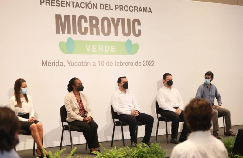 Yucatán, fortalece su camino hacia una economía ecológica￼