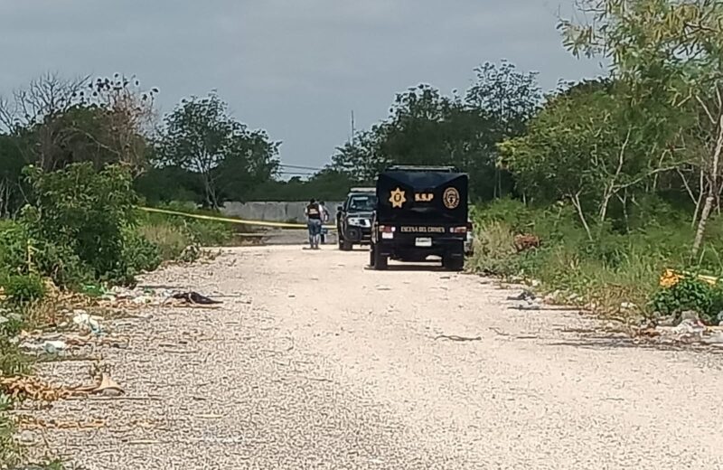 Encuentran mujer violentada en un baldío al sur de Mérida