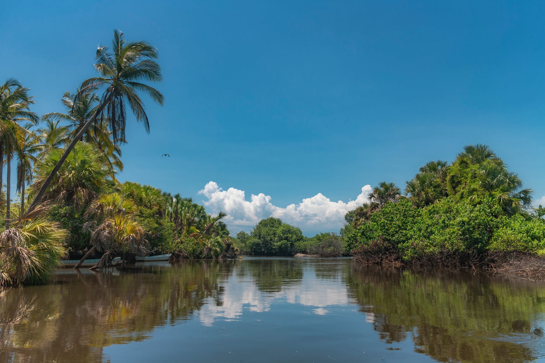 Yucatán en la vanguardia de recuperación y protección de sus ecosistemas