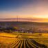 scenic view of agricultural field against sky during sunset