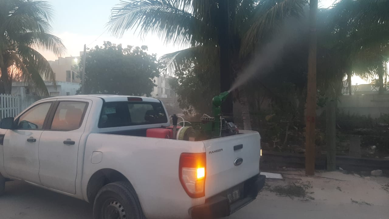 SSY fumigará Mérida debido a la presencia de mosquitos por las intensas lluvias