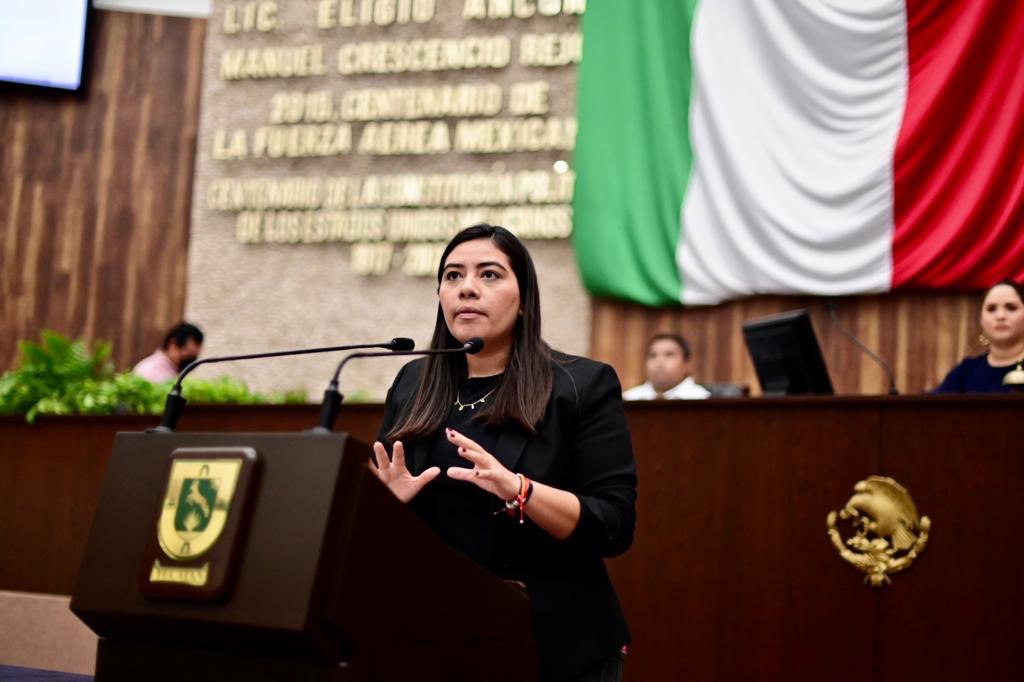 La constitucionalidad de la ley 3 de 3 es un logro ciudadano: Vida Gómez Herrera