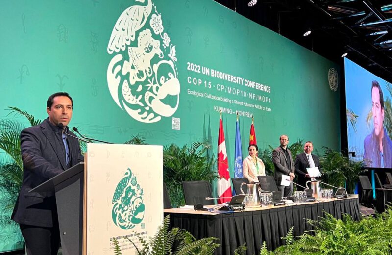 Yucatán muestra sus experiencias para proteger el medio ambiente en la COP15