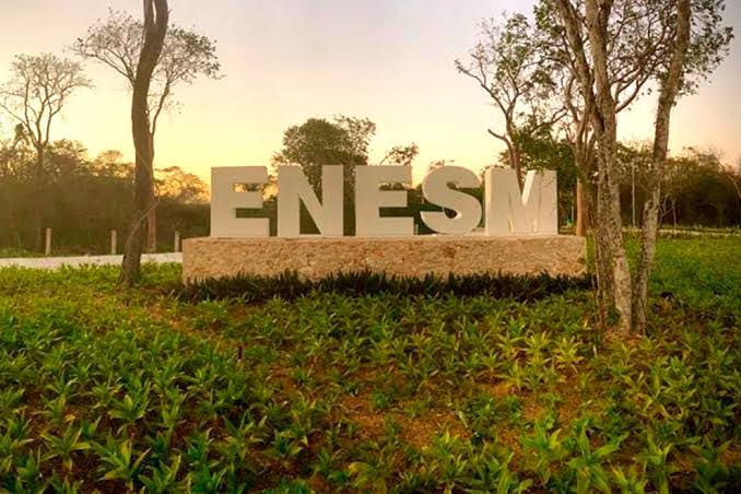 La UNAM impartirá la carrera de Sociología Aplicada en la ENES-Mérida