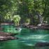 body of water between green leaf trees