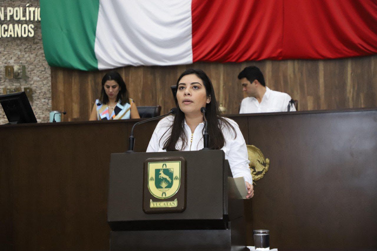 El ataque al Poder Judicial pasará factura al pueblo de México: Vida Gómez