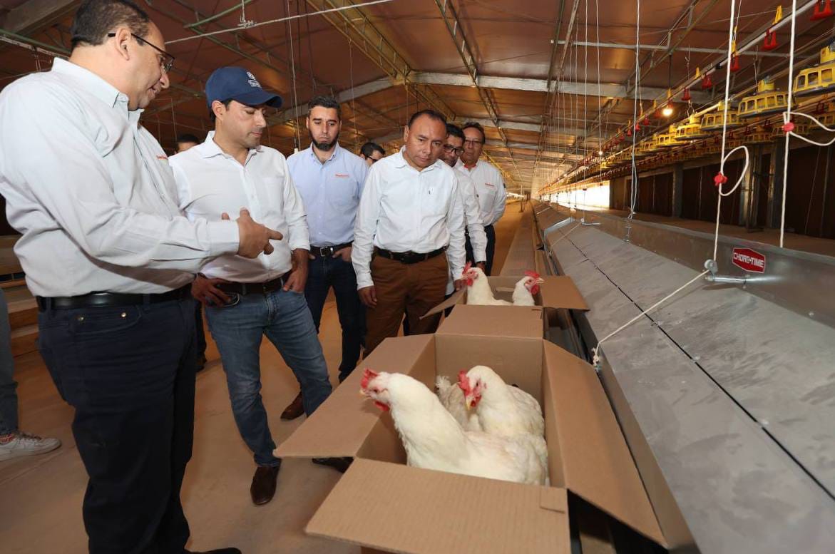 Inaugura Vila granjas reproductoras en Peto; dicen que bajará el precio del huevo