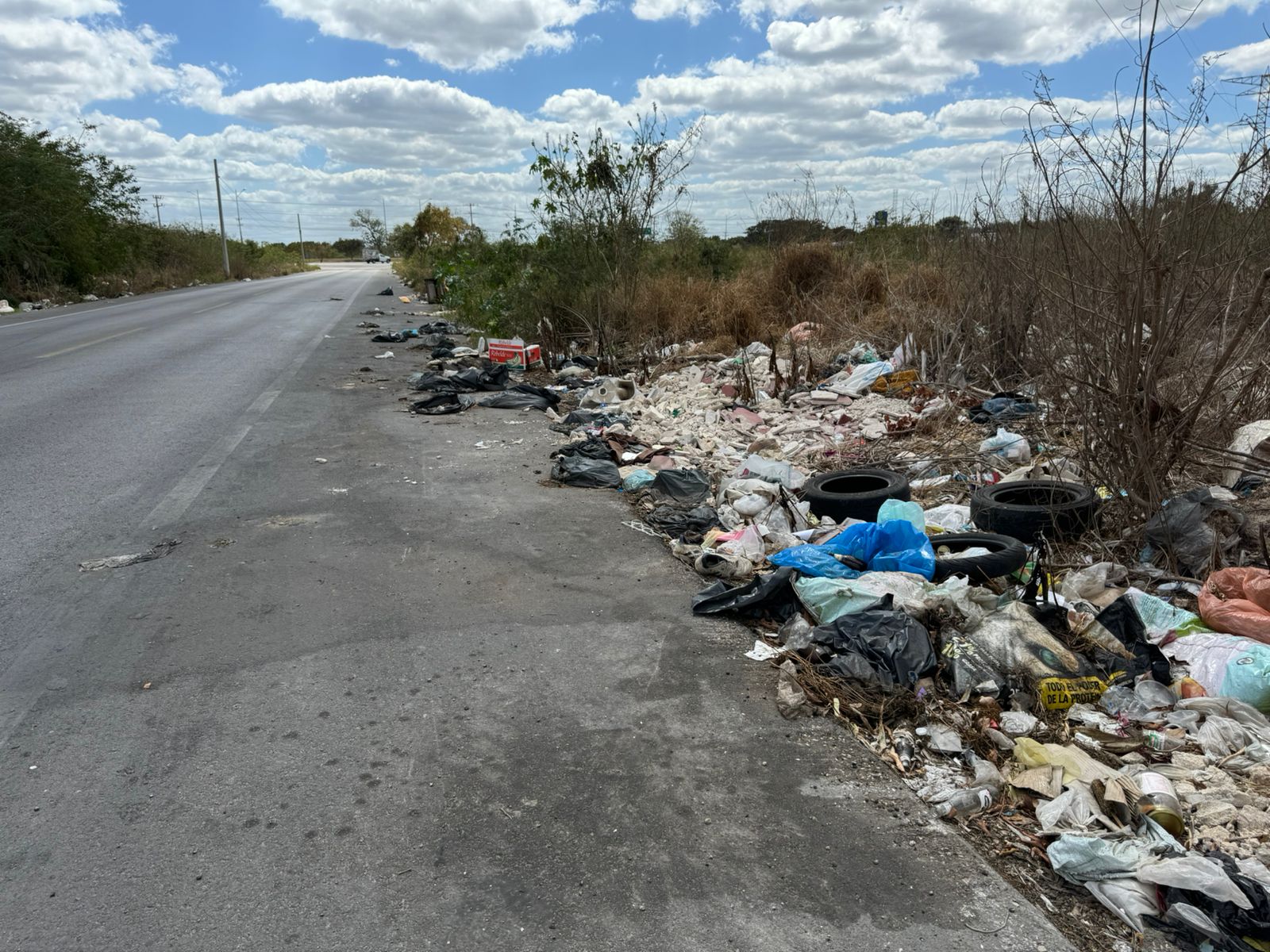 La basura, entre la irresponsabilidad, la desidia y la falta de una cultura de los desechos
