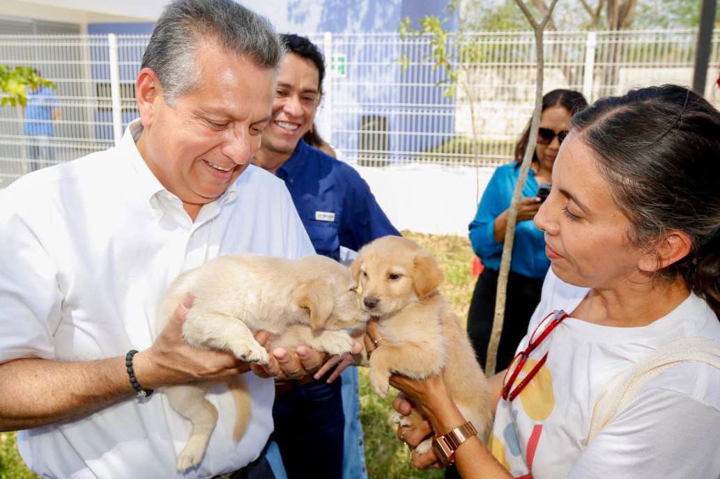 Jornada de esterilizaciones gratuitas para cuidar a las mascotas en Mérida