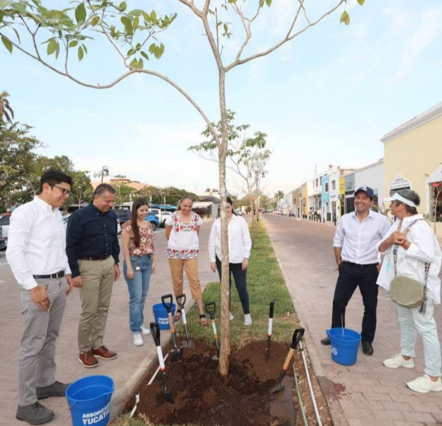 En Yucatán rebasan el millón de árboles plantados